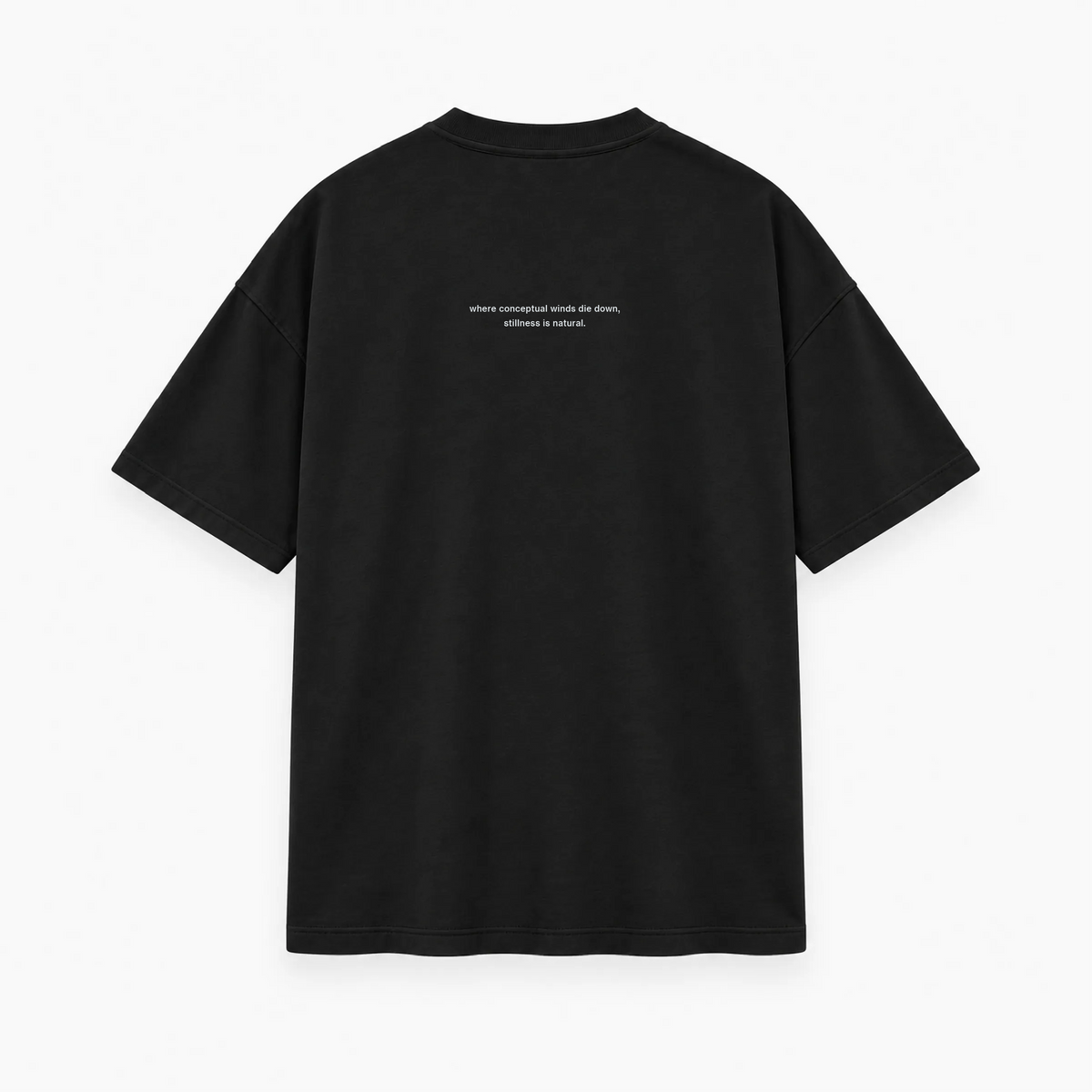 THE OPEN PLAIN Oversized Heavyweight T-Shirt
